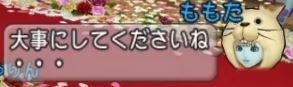 ダウンロード (1)