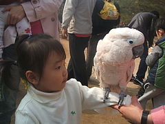 사진 021 사진 021