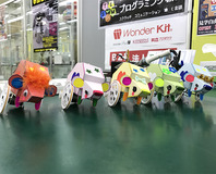 sakisima2017-1
