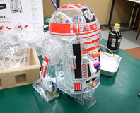 R2D2-15