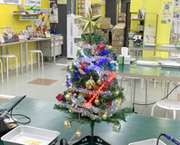 xmastree-16