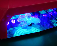 UVresin-13