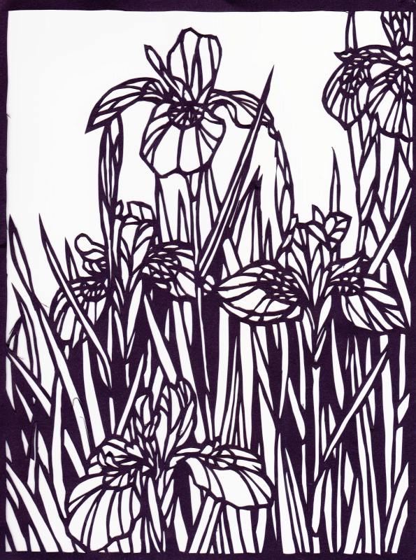 切り絵 菖蒲 切り絵 菖蒲
