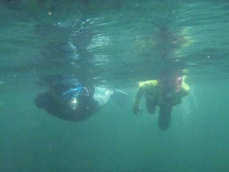 P7281493
