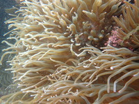 P7230246