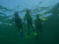 P8050009