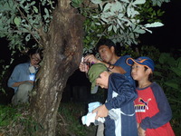 P8101590