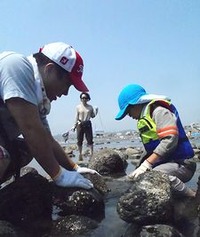 親子で磯採集