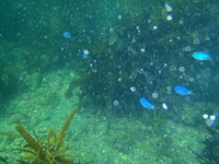 P7090813