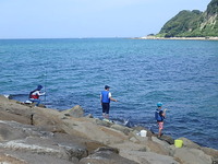 P7013171