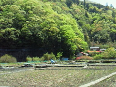 0330a80d.jpg