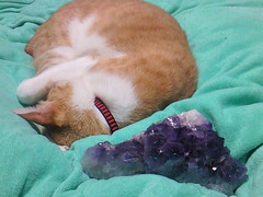 0731167d.jpg