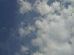 NEC_6409