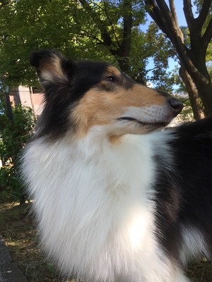 2017-08-11-15-51-52