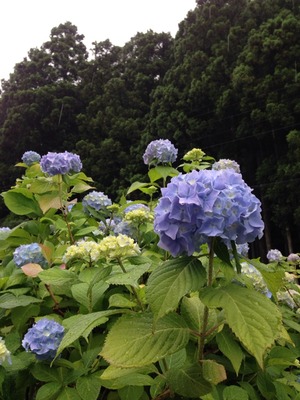 2015-07-04-16-17-26