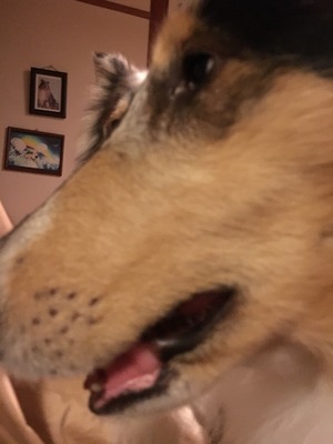 2017-08-19-19-25-40