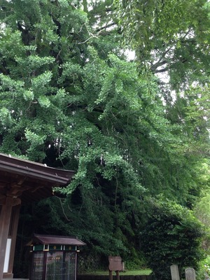 2015-07-04-11-29-54