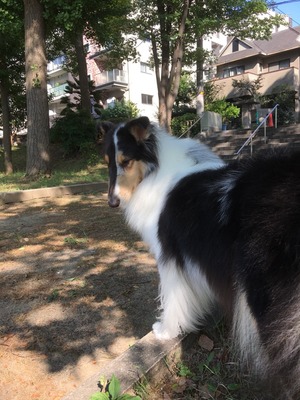 2017-08-11-15-49-52