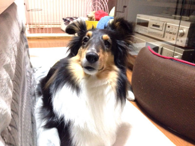 42905339_2145063816_128large