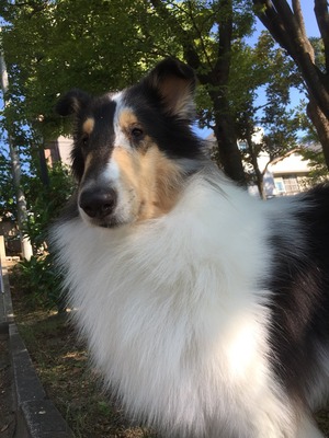 2017-08-11-15-51-56