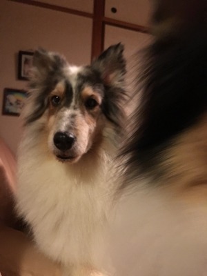 2017-08-19-19-25-38