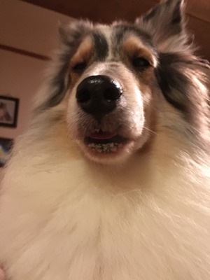 2017-08-19-19-25-51