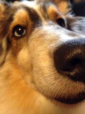 2015-07-06-15-00-44