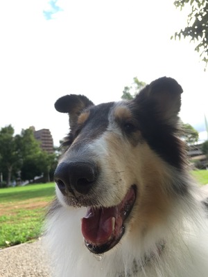 2017-08-12-07-31-59