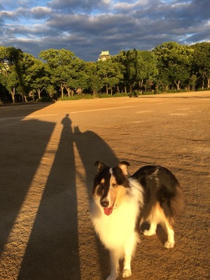 2017-08-03-05-41-57