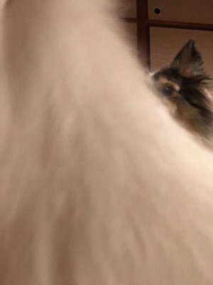 2017-08-19-19-25-27