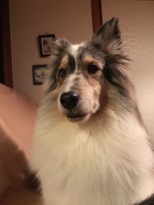 2017-08-19-19-25-22