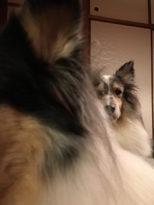 2017-08-19-19-25-30