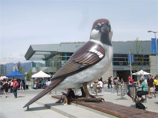 DSCF9374