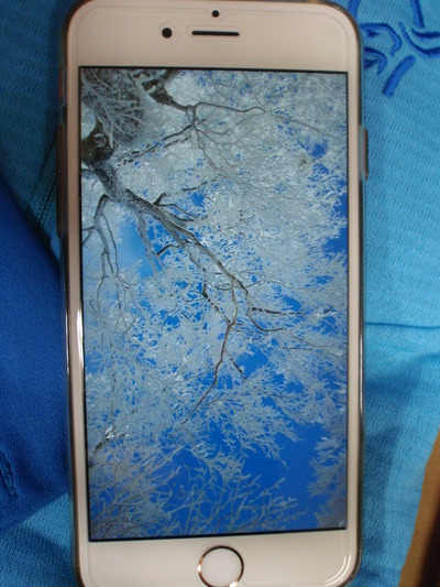 P1250019