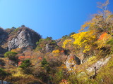 PA207500