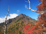 PA207488