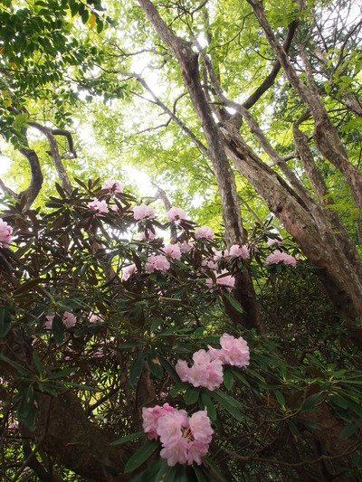 P5310125