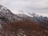 P2055682