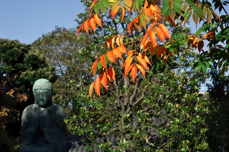 20181123 谷中天王寺