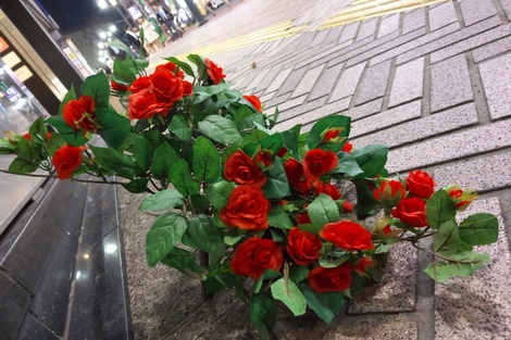20170414 MUSIQUA½Âëϩ¾å¥é¥¤¥Ö-H