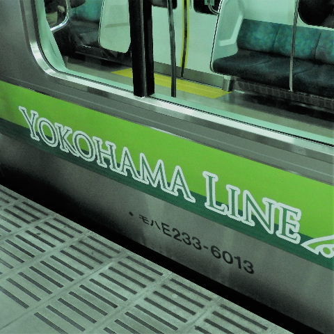 DSCN6455