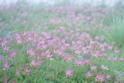 DSC03353a