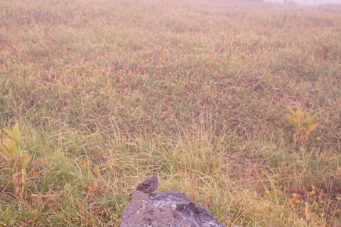 DSC03319a