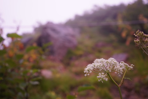 DSC03303