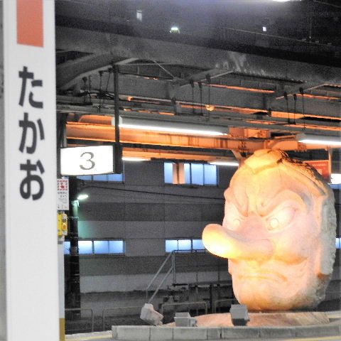 DSCN6451