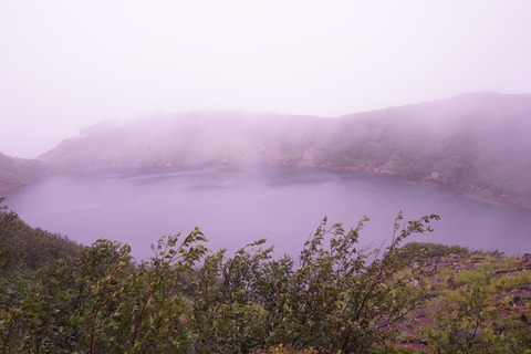 DSC03331