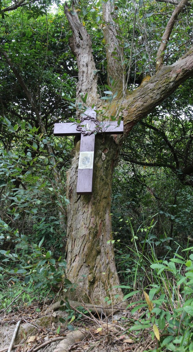 joyabbey13