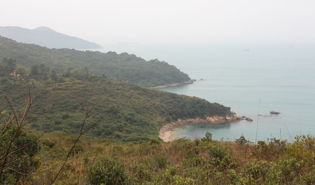 lamma34