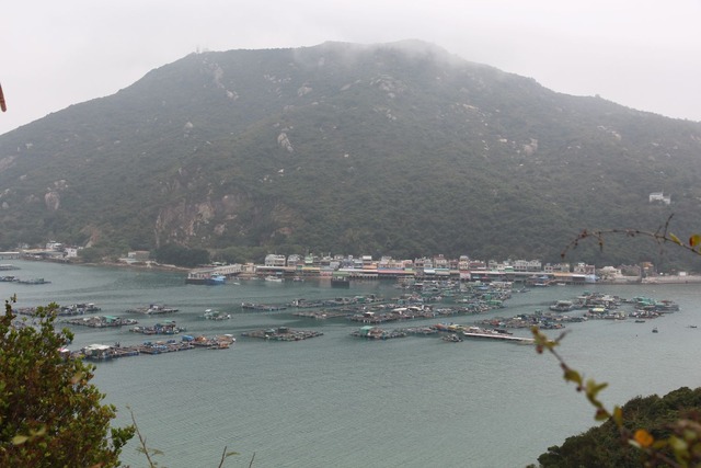 lamma38