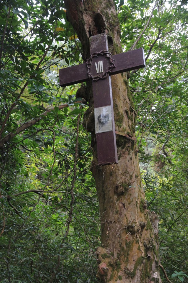 joyabbey14